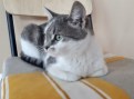 Lulu (3)